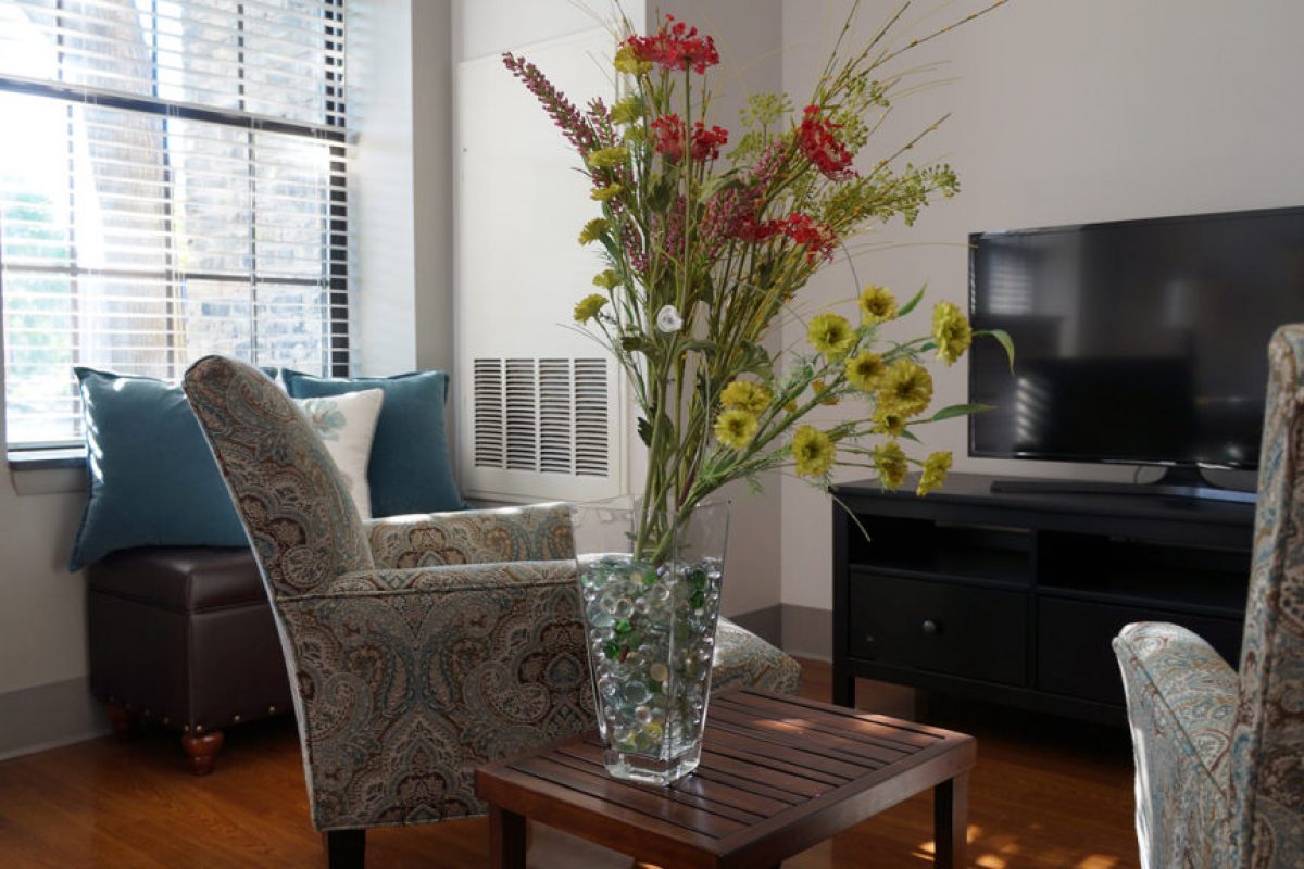 New-Suite-7-1024x575